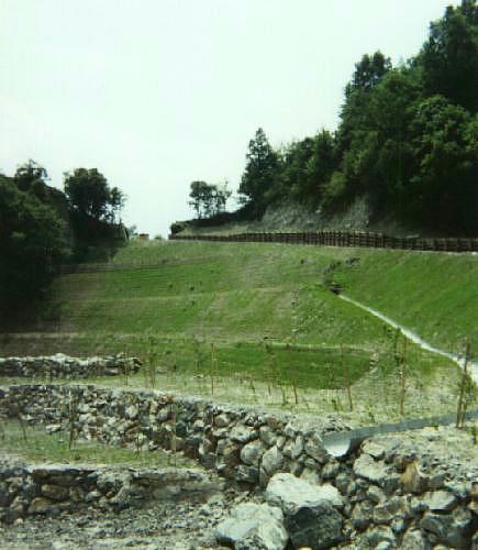 [Terre Rinforzate con geogriglie]