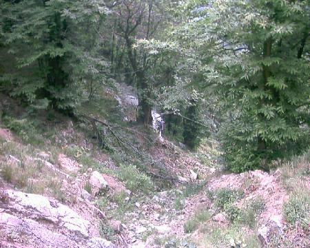 [Protezione abitato paramassi debris flow]