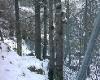 [Gressoney barriera para massi]