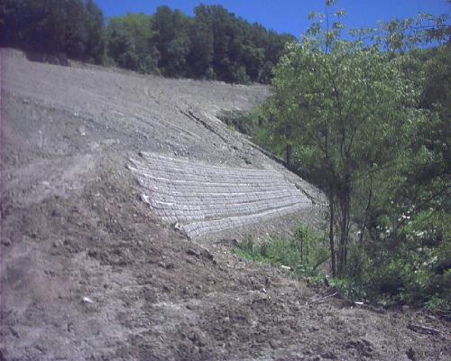 [Terra Armata con geogrgriglia ]