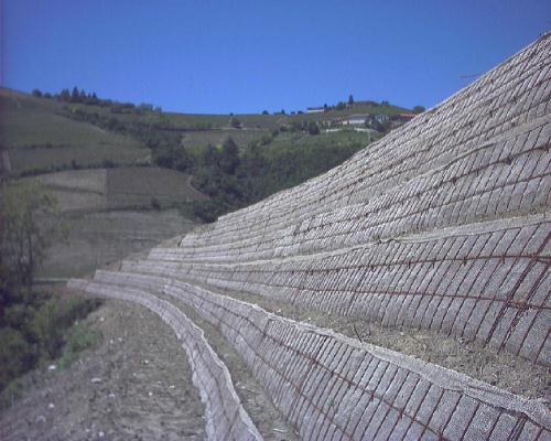 [Terra Rinforzata rinverdibile]