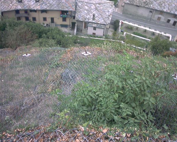 [Consolidamento parete sistema tecco rinverdito senza pannelli in fune e maccaferri]