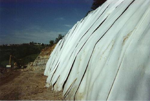 [Terra Rinforzata con geogriglie rinforzate]