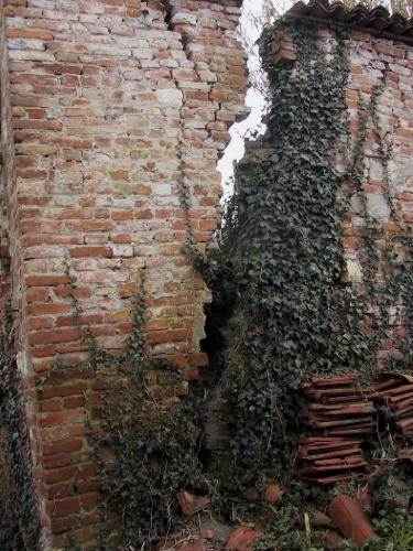 [Palovit ingegneria naturalistica ]