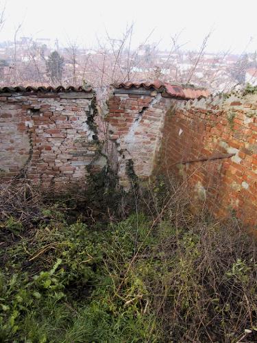 [Palovit fondazione]