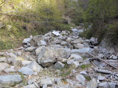 [Barriera Debris-Flow diga paramassi]