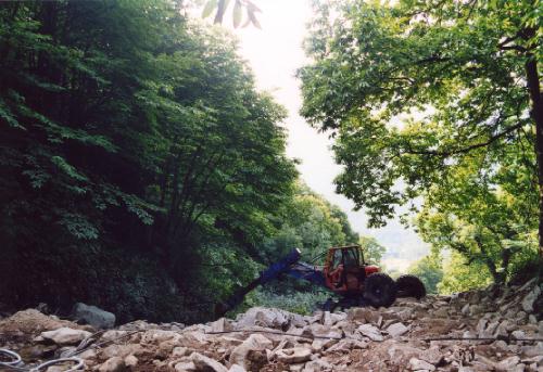 [Barriera Debris-Flow briglia Falzoni]