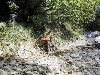 [Villar Pellice barriera debris flow]