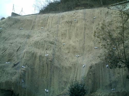 [Protezione con tecco Geobrugg]