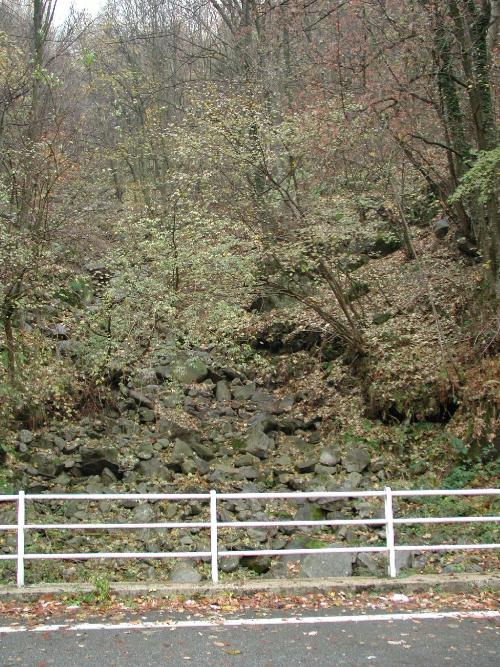 [Protezione abitato paramassi debris flow]