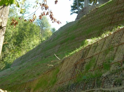 [terre rinforzate con geogriglie]