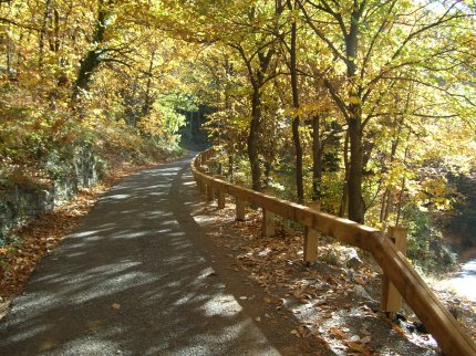 [barriere stradali in legno acciaio]