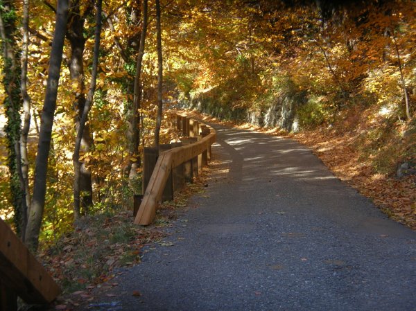 [barriere stradali in legno acciaio]