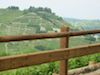 [Barriere stradali in legno acciaio]